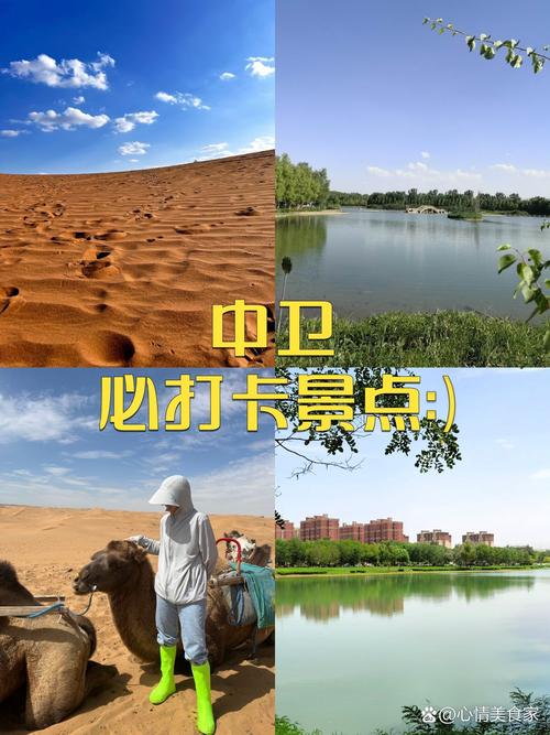 夏天去中卫旅游,有什么好的旅游攻略?