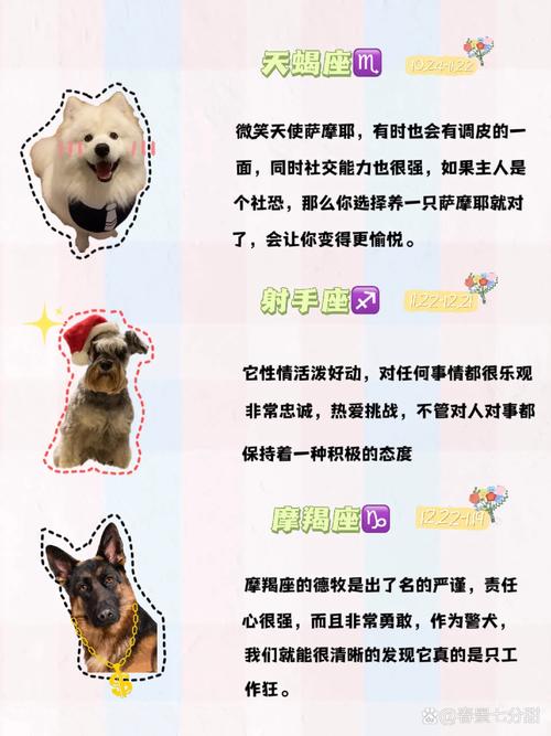女的属狗的是狮子座,该跟那些属相星座的人比较配呢?求高人解说._百度...