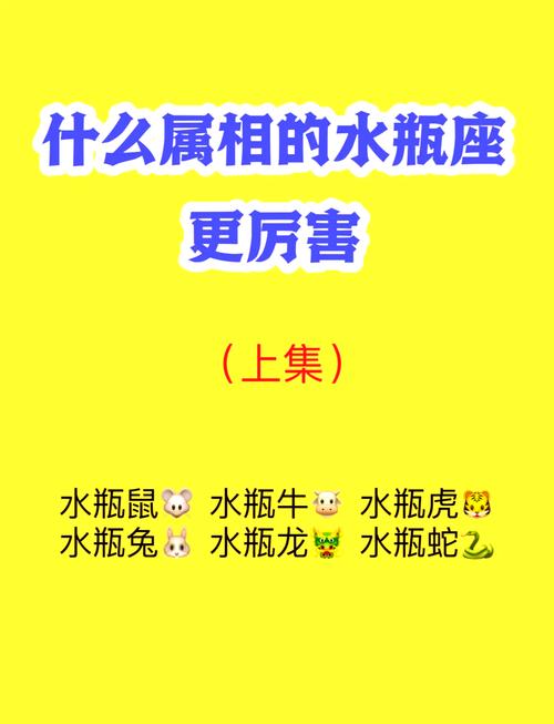 12星座与水瓶女的配对