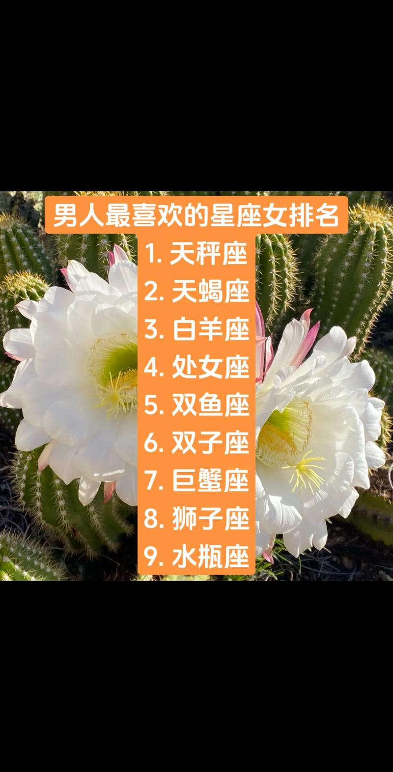 天秤座爱上哪个星座女人，天秤座爱上哪个星座女人最幸福