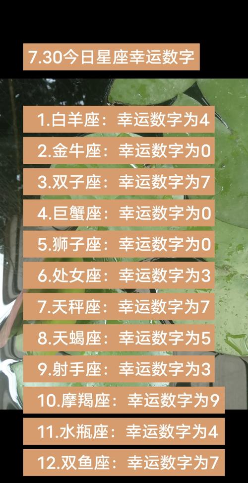 十二星座的永久幸运数字