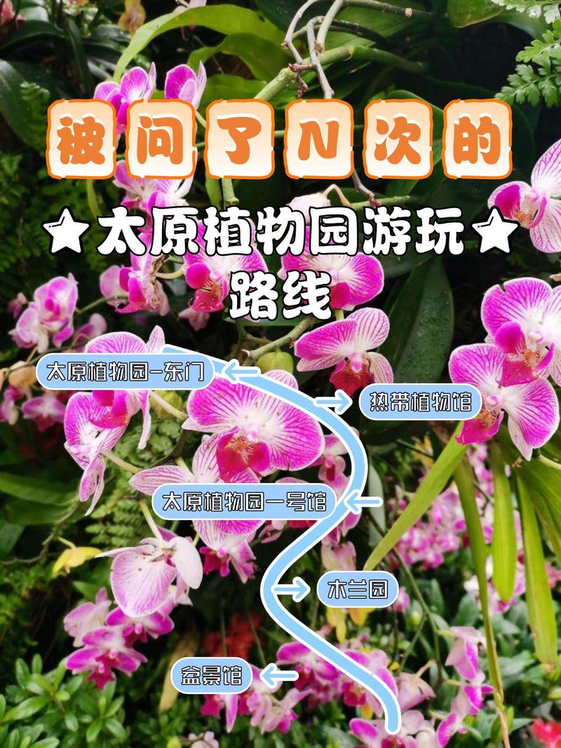 温县天气预报30天准确（温县天气预报30天准确查）