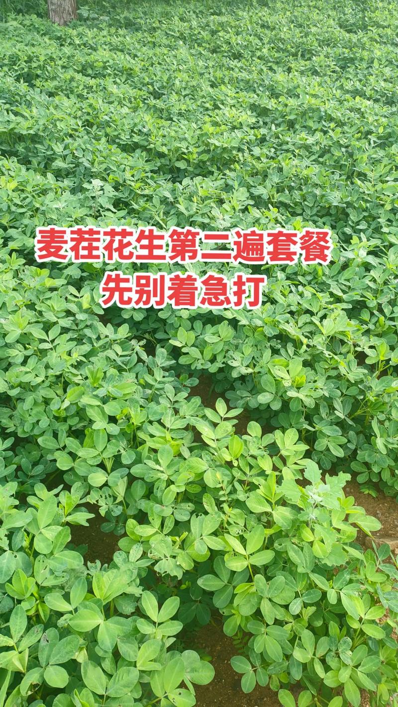 河南南阳新野天气预报（河南新乡天气预报未来三天）