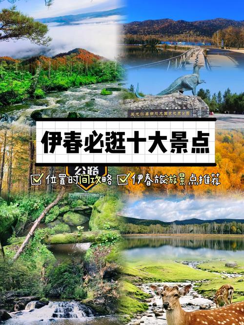 伊春市的天气预报（伊春市天气预报十五天查询）