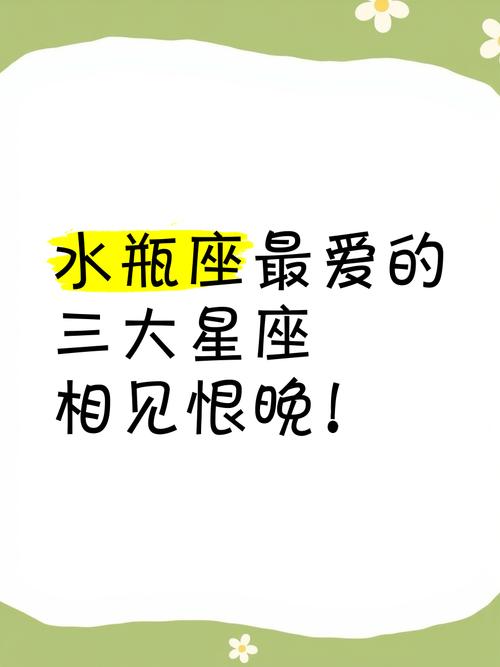 最爱水瓶座的星座