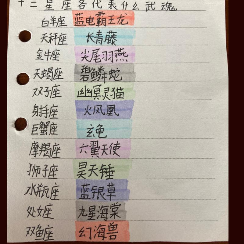 十二星座适合什么武魂,十二星座专属双生武魂
