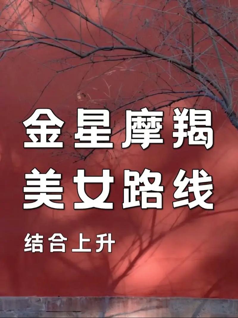 金星在摩羯