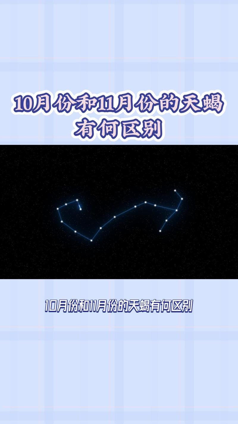 十二星座长什么样子图片