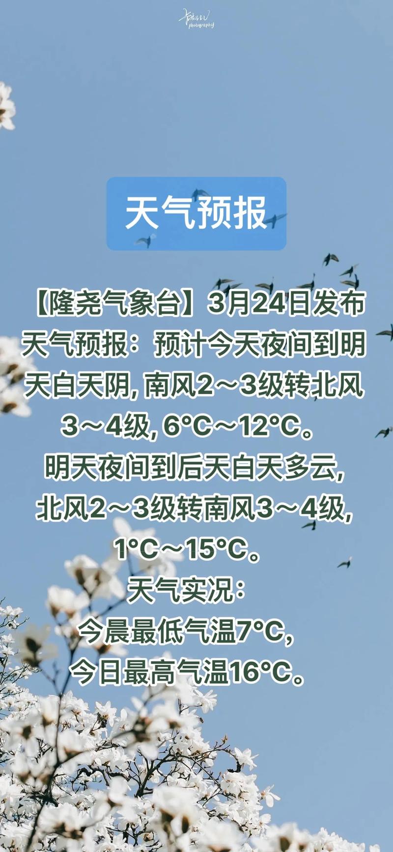 3月13邢台的天气如何?