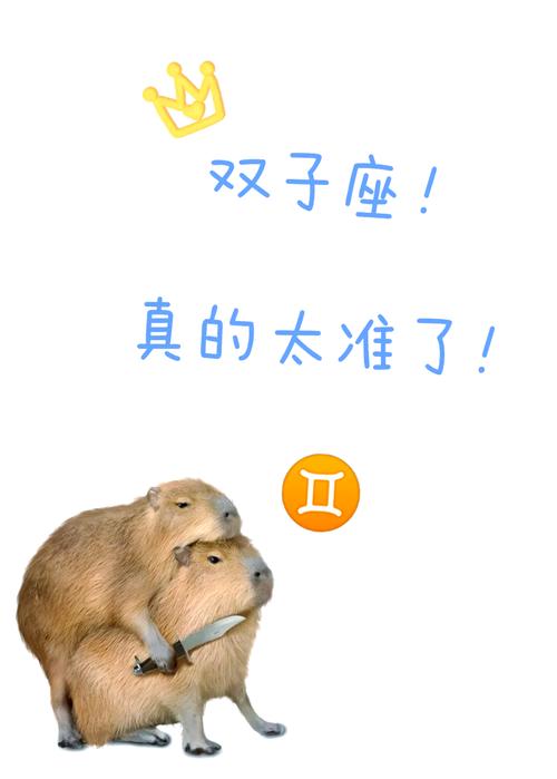 哪些星座会爱上双子座女生