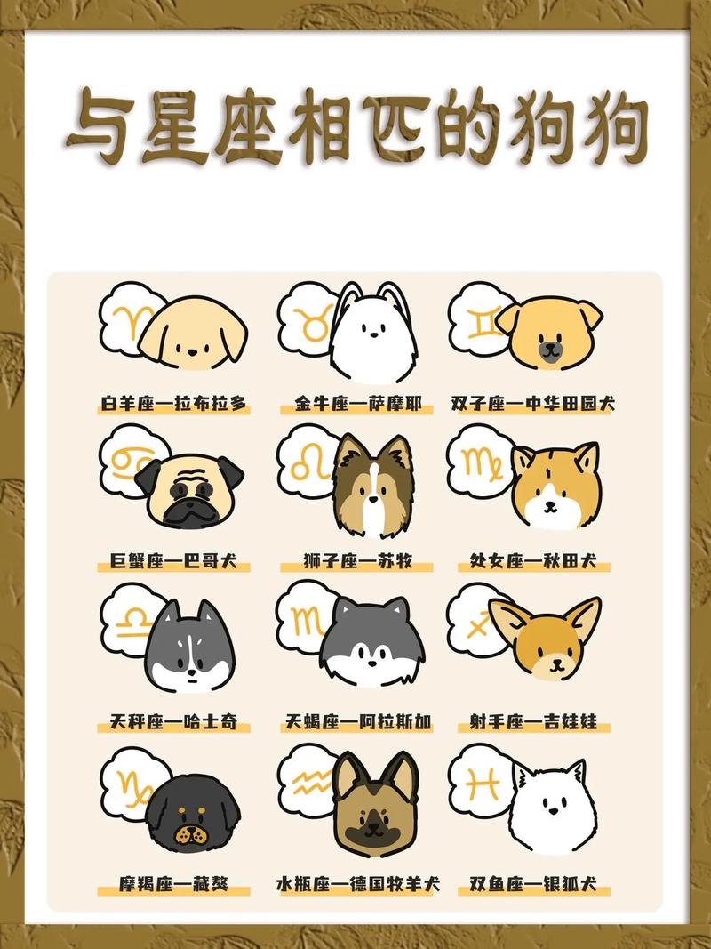 属狗天秤座女生的性格特点