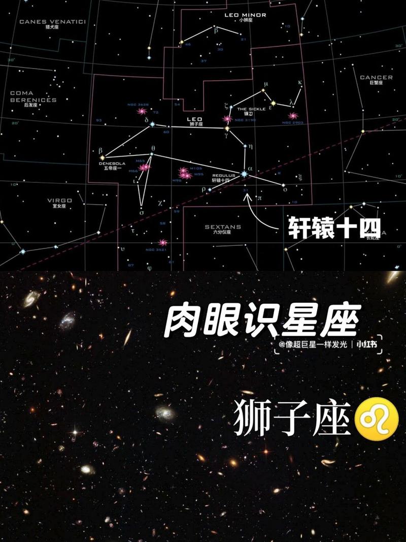 狮子座眼中的12星座
