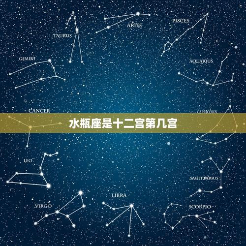 水瓶座的对宫星座是哪个