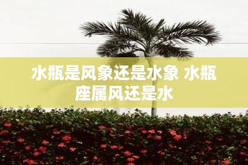 水瓶座是什么象的星座