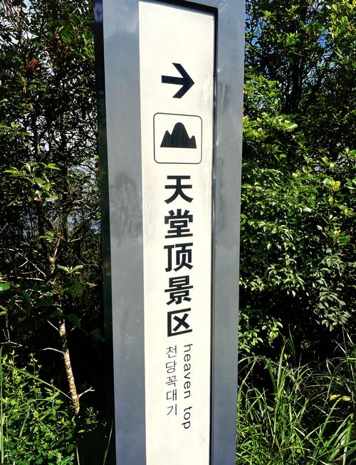 广州新年天气预报2021年广州除夕穿什么衣服