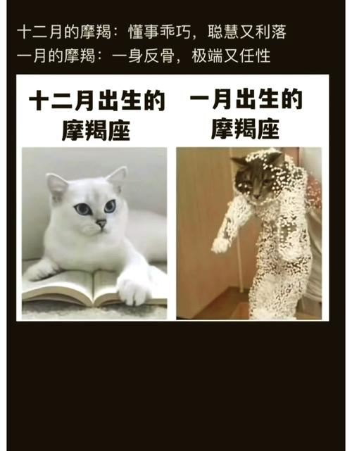 十二星座的排列顺序,有什么依据么?