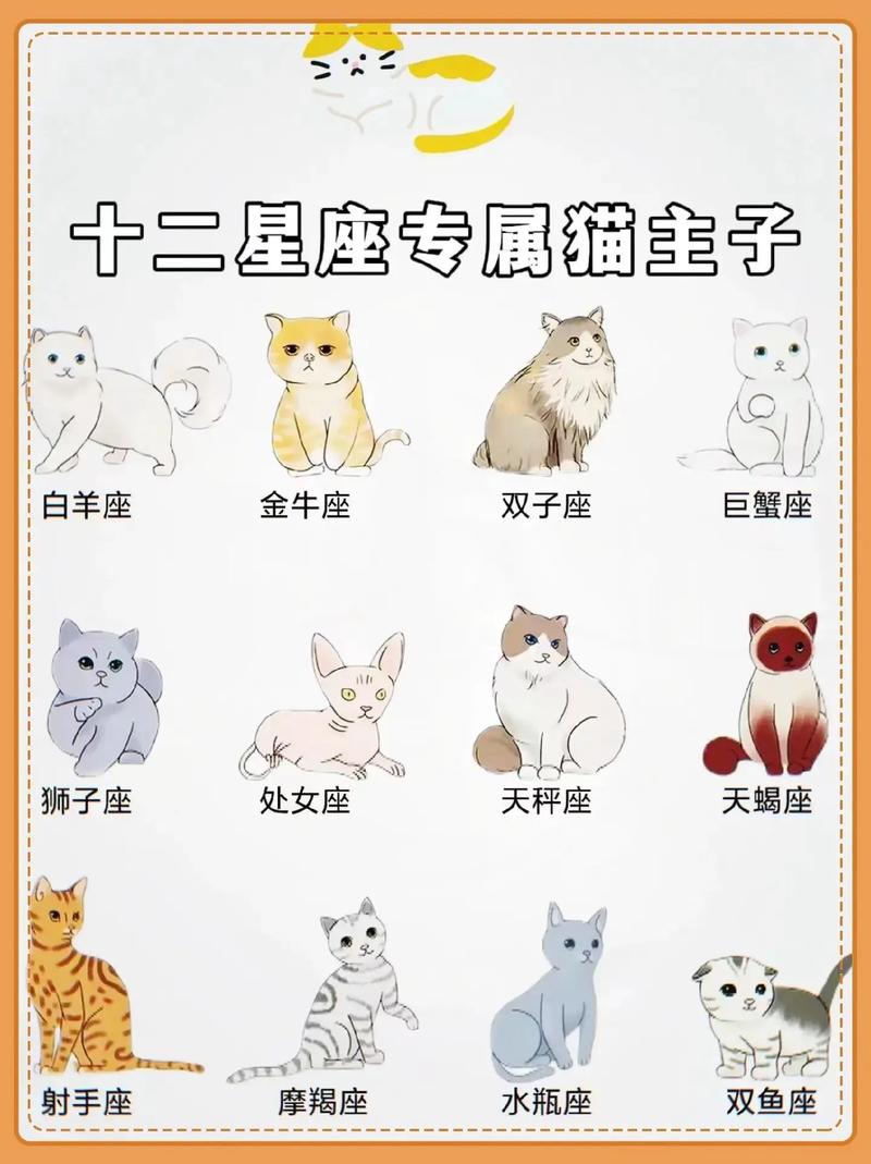 按照12星座各自的性格,都会喜欢什么样的宠物