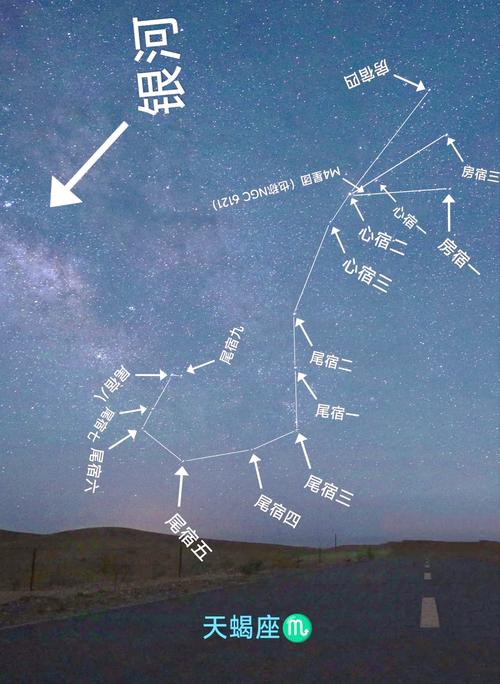 天蝎座位于星空的什么位置!