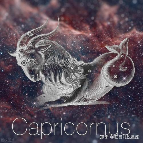 在十二星座中,被称为低调之王的摩羯座具备什么魅力呢?