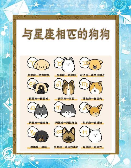 十二星座专属宠物猫