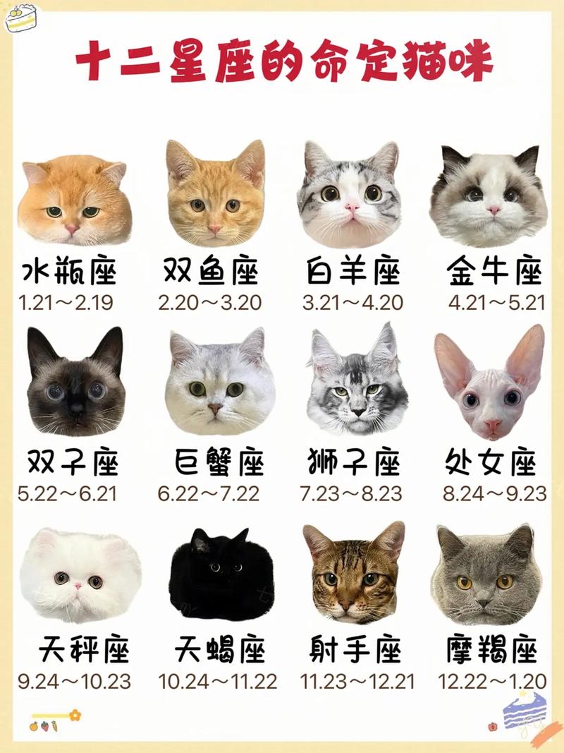 12星座的专属狗狗有哪些