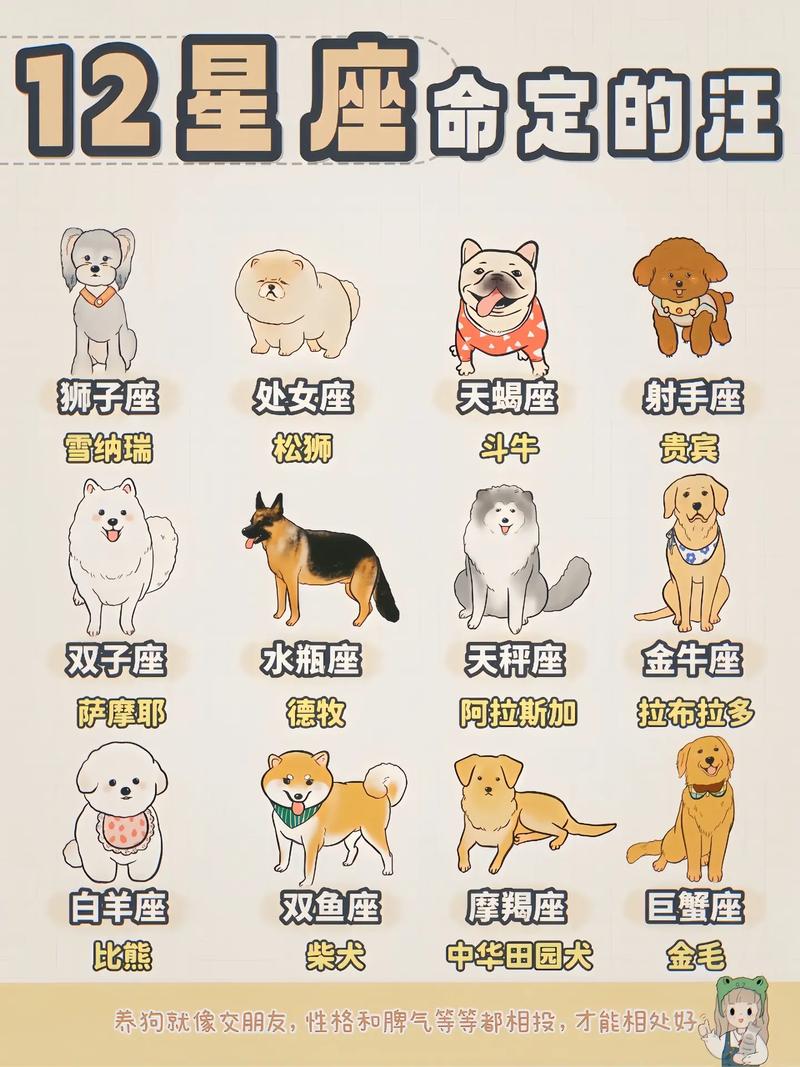 十二星座的“专属宠物”