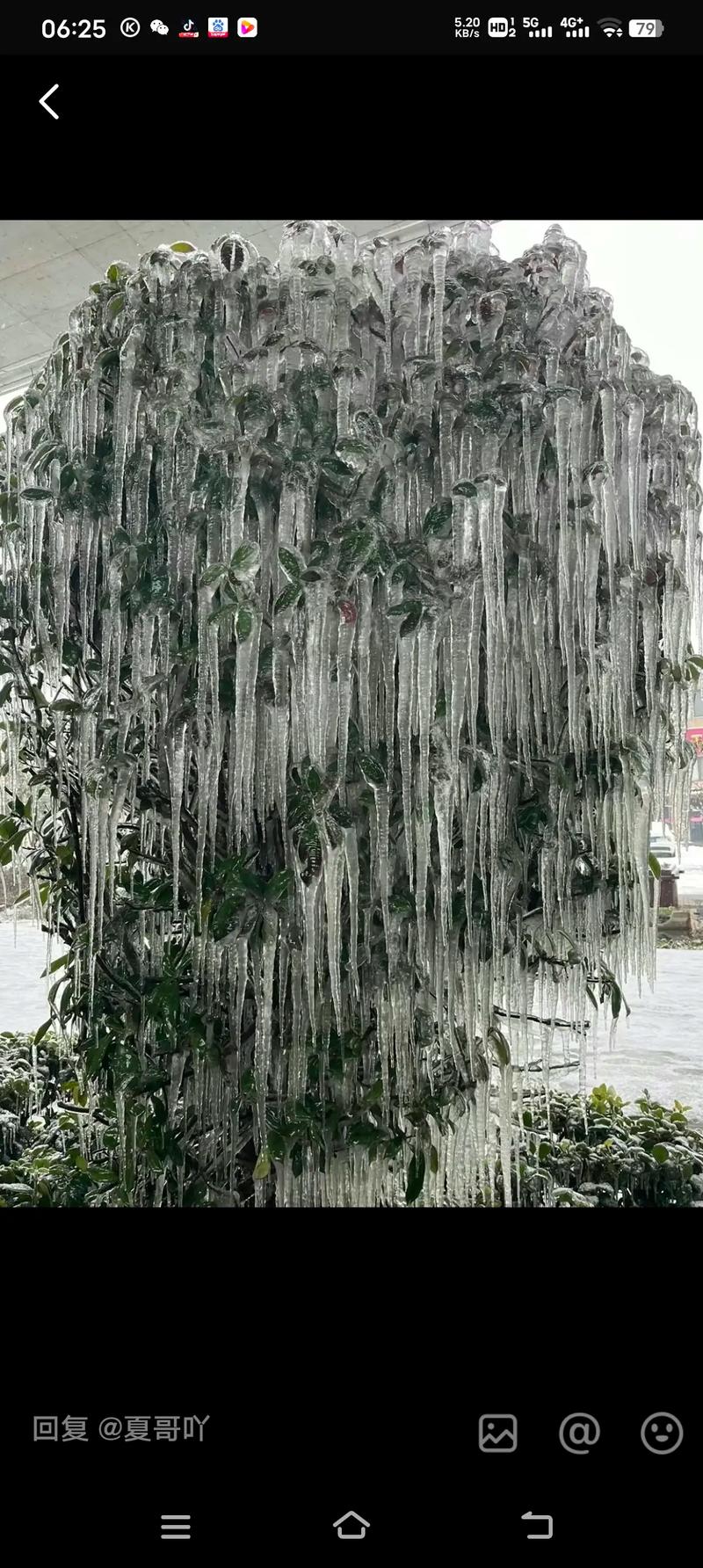 湖北出现冻雨的地方有哪些2024湖北冻雨持续多久