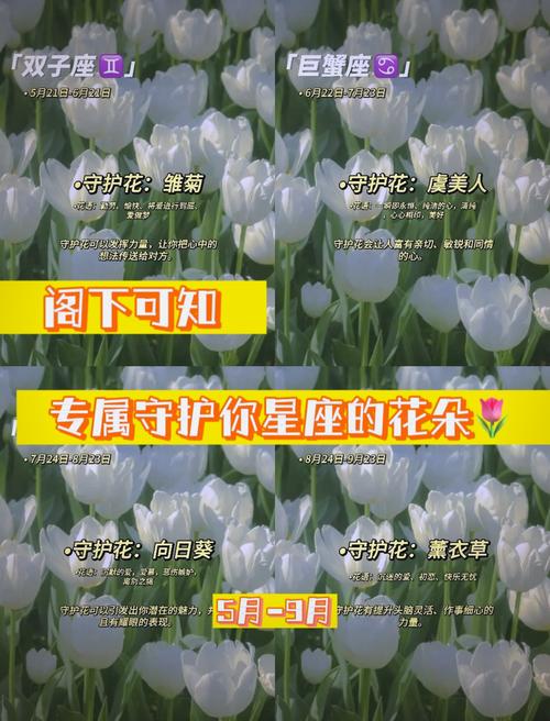 好123主页装扮各星座旁边的植物是什么?急急急急!!!