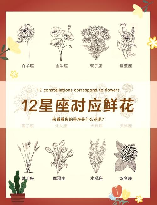 水瓶座玫瑰花语