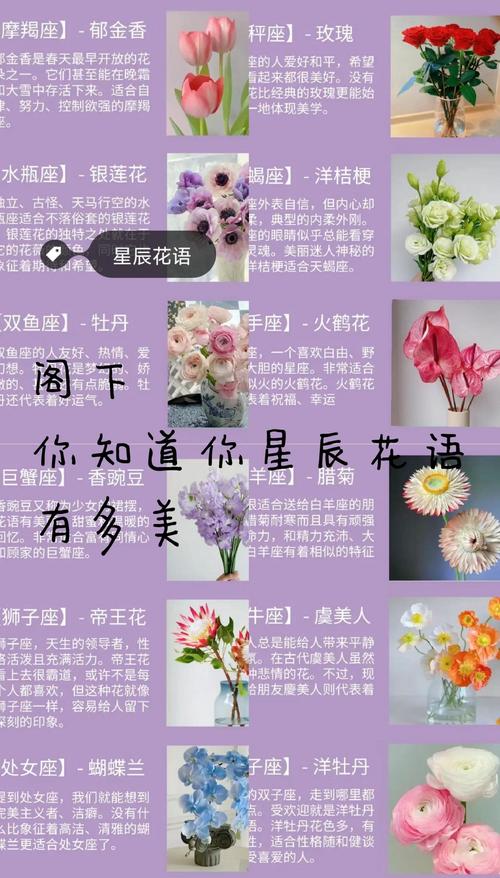 12星座的守护花各是什么?