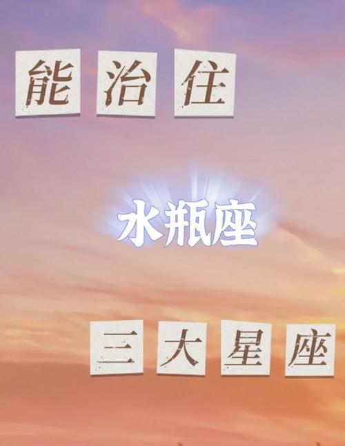 水瓶座眼中的十二星座是什么