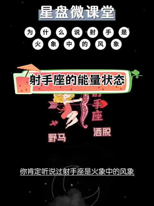 射手是风向还是火象