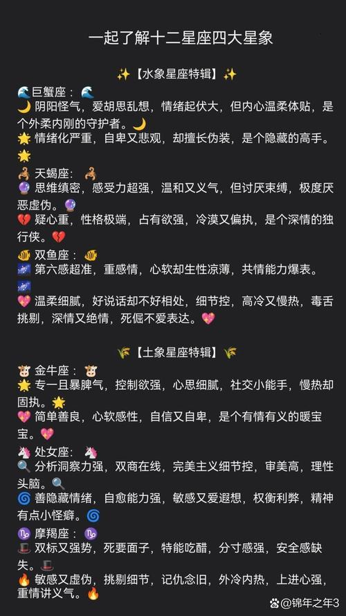 备注双子是什么意思?