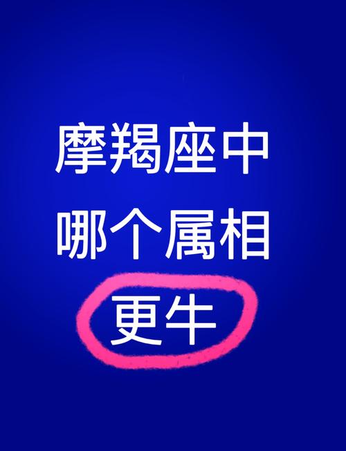 属羊摩羯座与什么属相什么星座最匹配